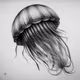 Jealous Jellyfish