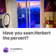 Have you seen Herbert the pervert?