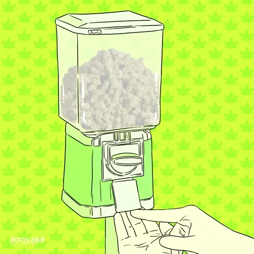 Take $JOINT 🚬💨