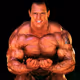 Muscle