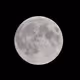 Moonbase