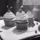 Cupcake Chronicles