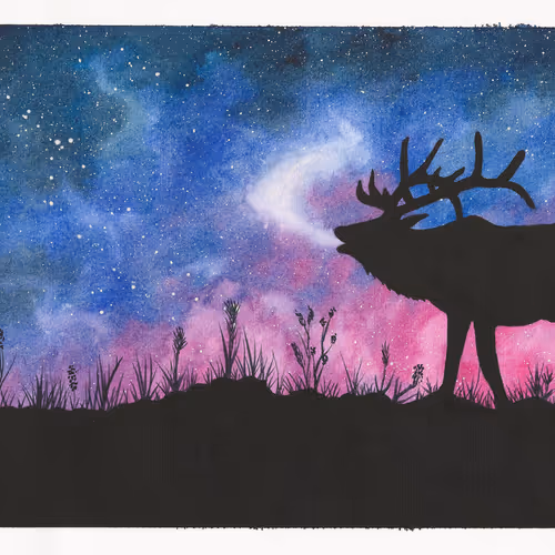 Encounters with Nature