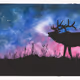 Encounters with Nature