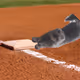 Mr Miggles Steals Third