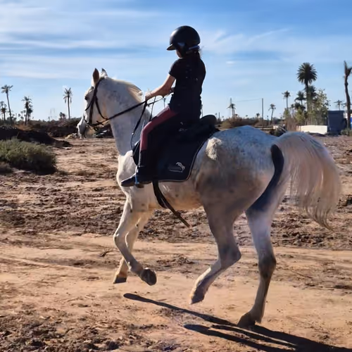 Horsabel saves the world