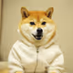 hoodie doge
