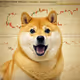 Doge Stocks
