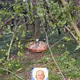 Base God Offerings
