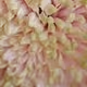 pattern base