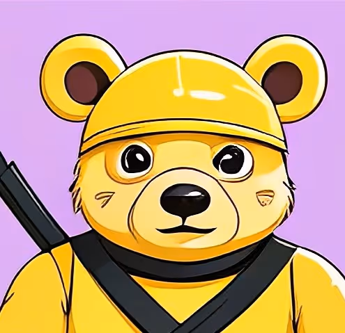 NINJA BEARS