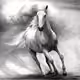 hors