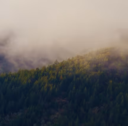 Test_Launch_V3_alt_config Party