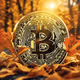 BTC Onchain Autumn