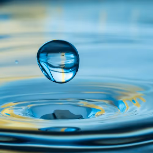 Water