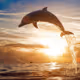 obsessive