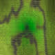 leak