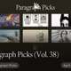 Paragraph Picks (Vol. 38)