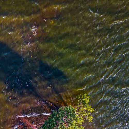 Guardian of the Waves