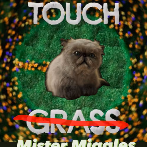 Touch Mister Miggles