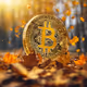 Bitcoin on Based Onchain Autumn
