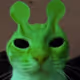 catosline