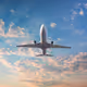 fly away