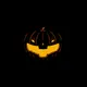 Bat in Pumpkin