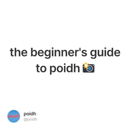 the beginner's guide to poidh 📸