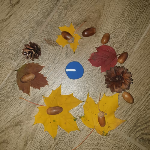 Real Onchain Autumn