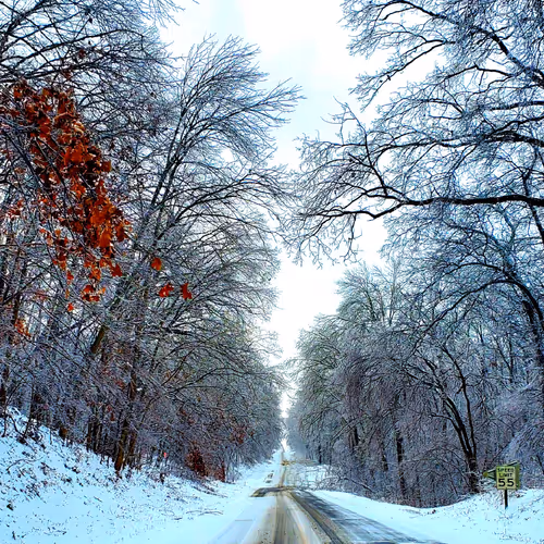 So.IL winter storm '25