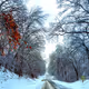 So.IL winter storm '25
