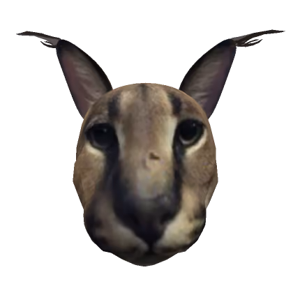 Floppa