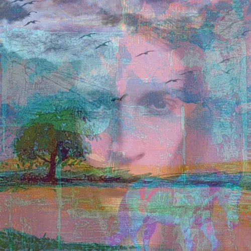Reflections in a Dreamscape