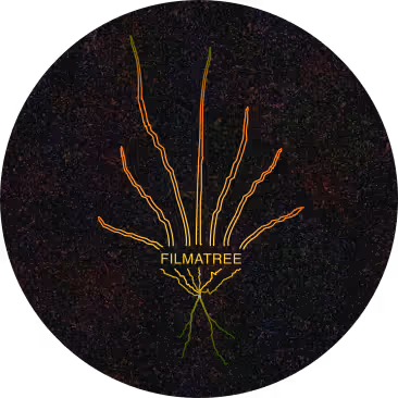 Filmmaking is Flawed