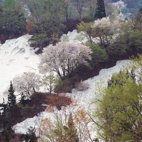 高波重春　写真コレクション