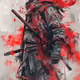 ninja