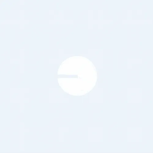 Base and Summer never Ends