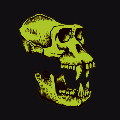 Bored Ape Radiation Club