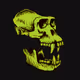 Bored Ape Radiation Club