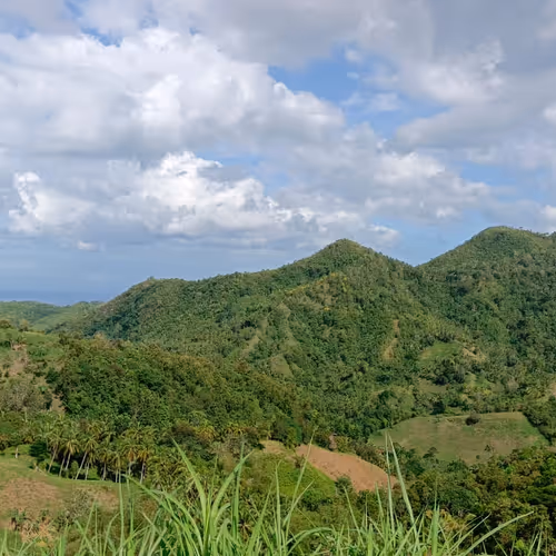 Cebu Mountains