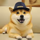 Dogwithhat