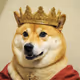 King of DOG