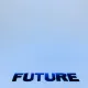 Future