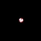 Red Eye Nation
