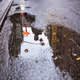 New York: Reflections of Canal Street