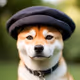 SHIBA WITH HAT