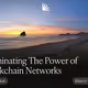Illuminating The Power of Blockchain Networks
