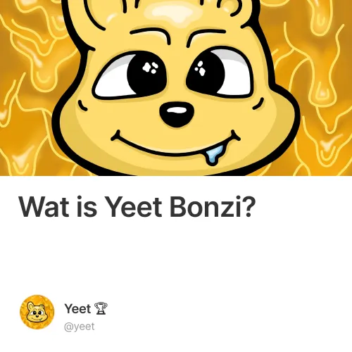 Wat is Yeet Bonzi?