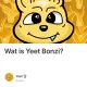Wat is Yeet Bonzi?